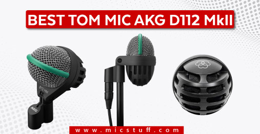 AKG D112 MKII is a best mic for tuba