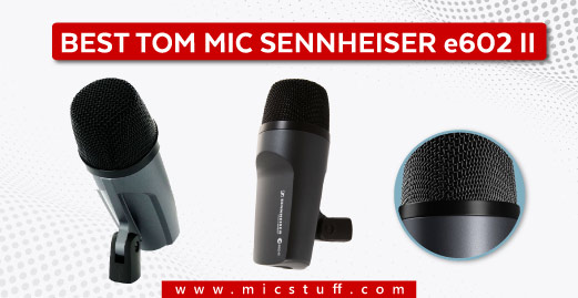 sennheiser e602 is best mic for the toms