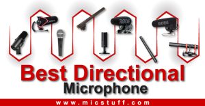 Best Directional Microphone