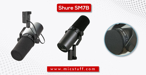 best vocal dynamic microphone for deep voice 