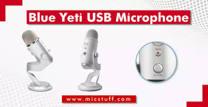 microphone best for webinars and online sessions